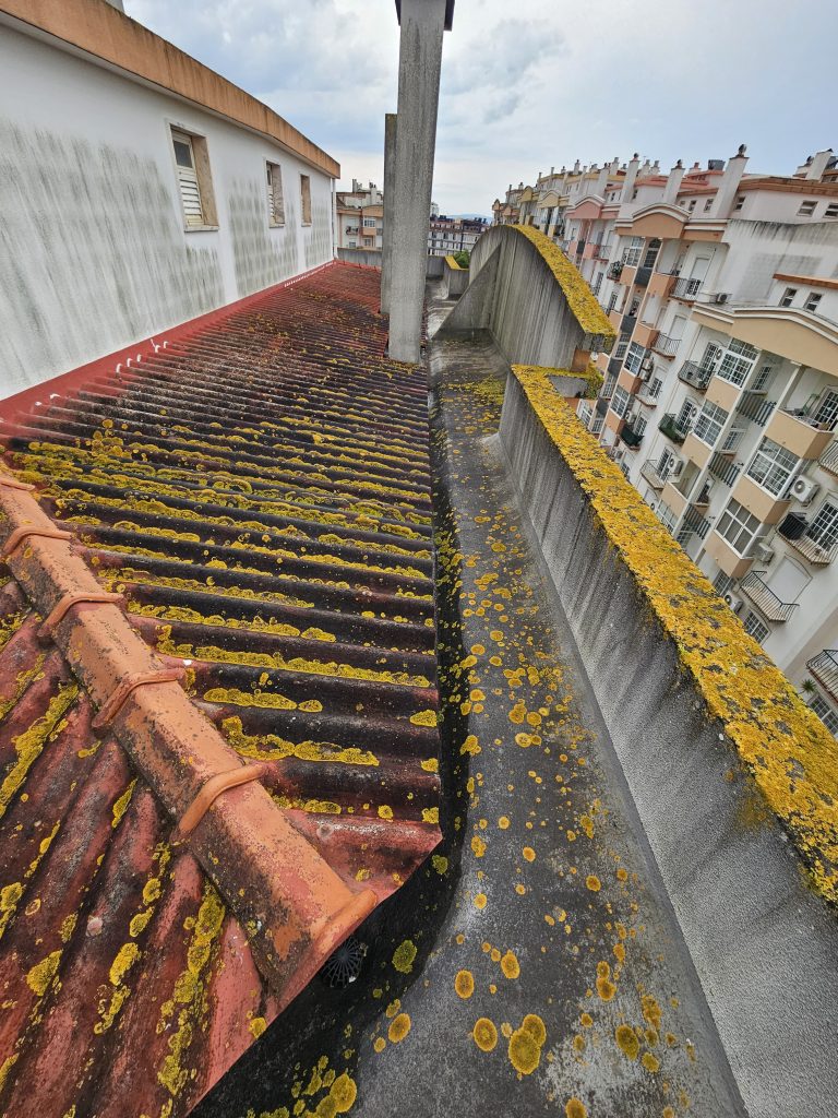 Pintura de telhado